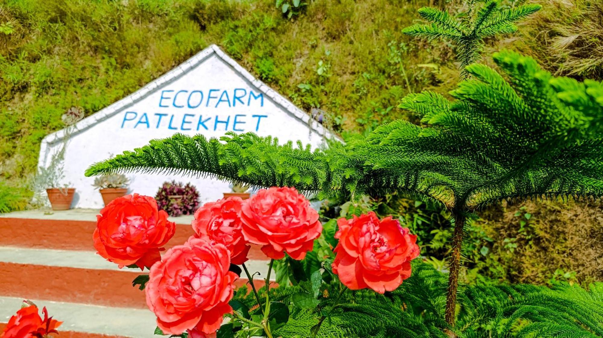 Patlekhet Eco Dhulikhel